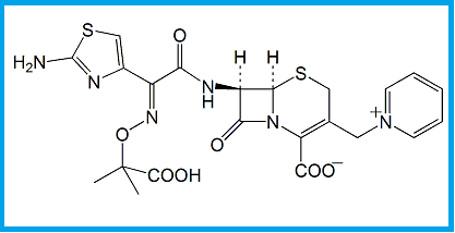 CEFTAZIDIME EP IMPURITY B  